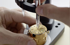 江诗丹顿为什么不是透底